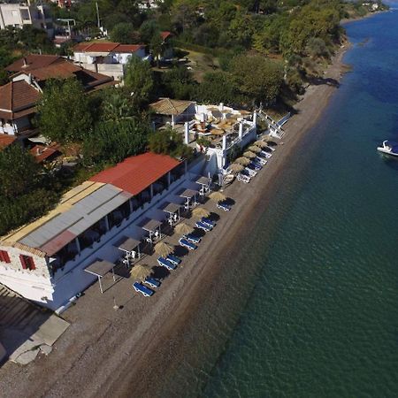 Taradella Hotel Alissos Exteriér fotografie