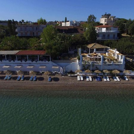 Taradella Hotel Alissos Exteriér fotografie