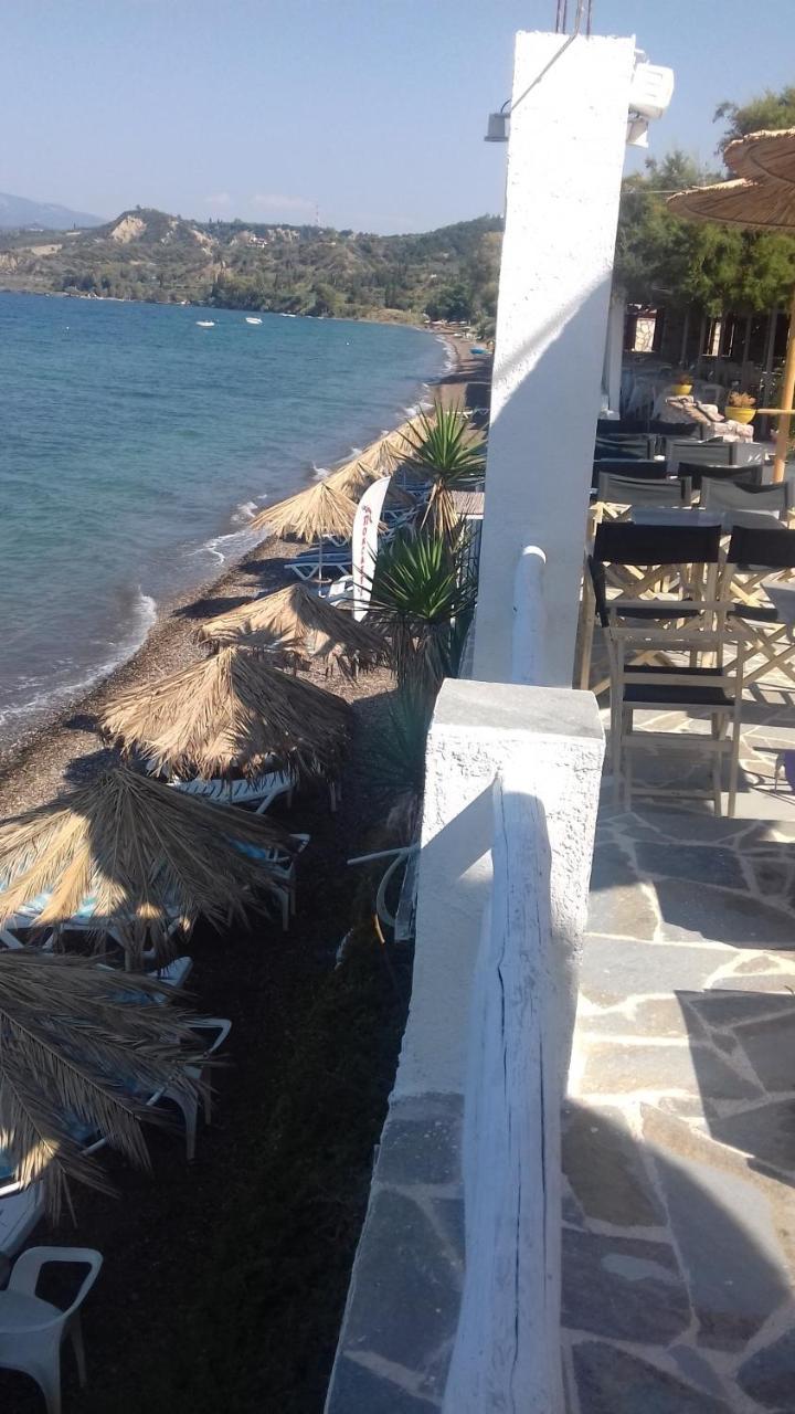 Taradella Hotel Alissos Exteriér fotografie